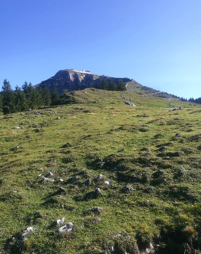 Erster Blick zum Schafberg