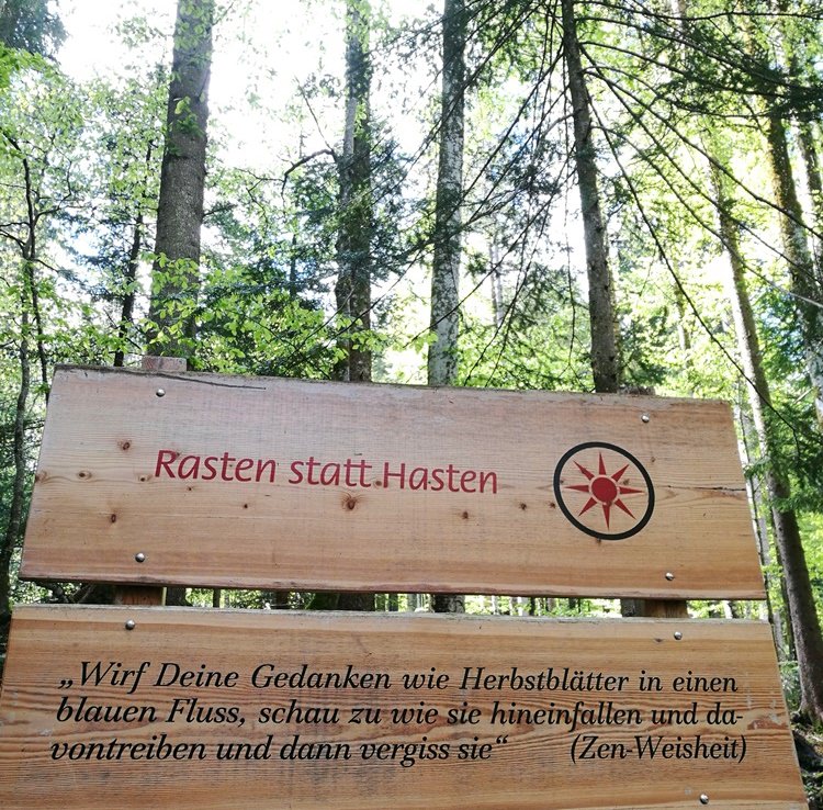 Philosophie im Bergwald