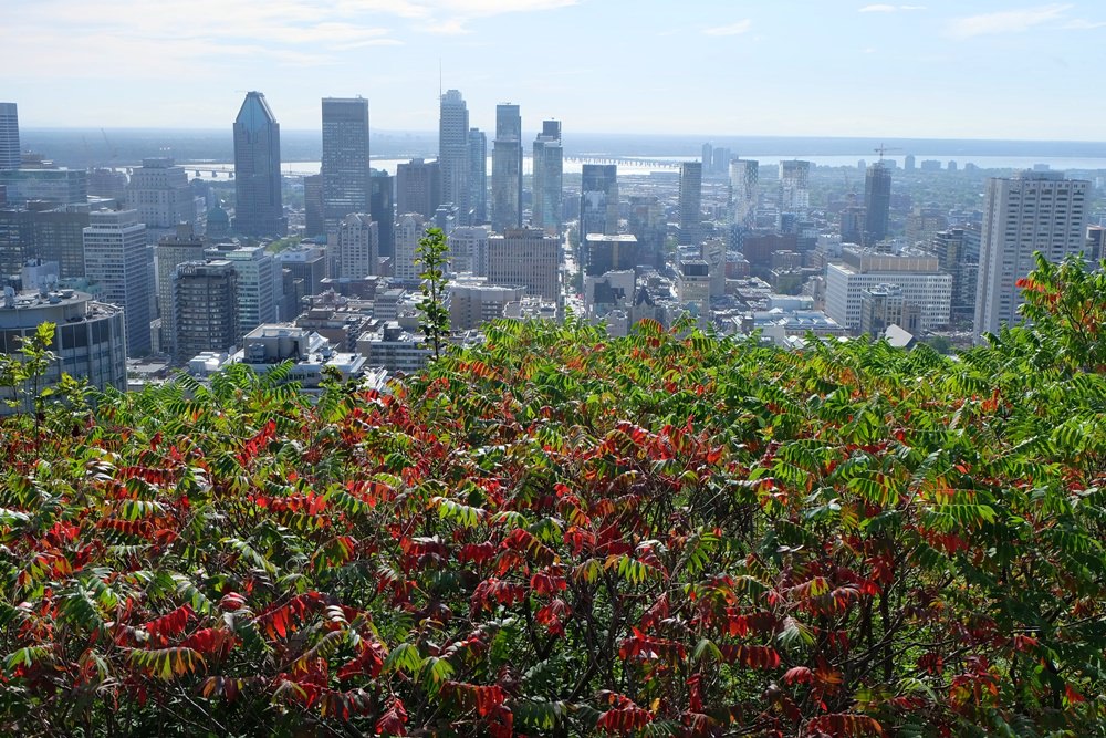Blick vom Mont Royal auf Montreal