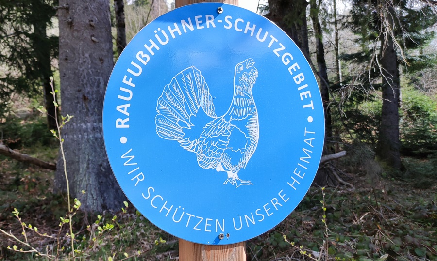 Schutzgebiet für Auerhühner am Zinnkopf