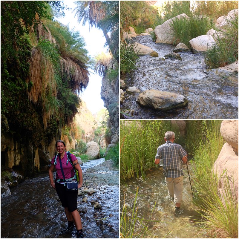 Bach-Wandern im Wadi bin Hammad