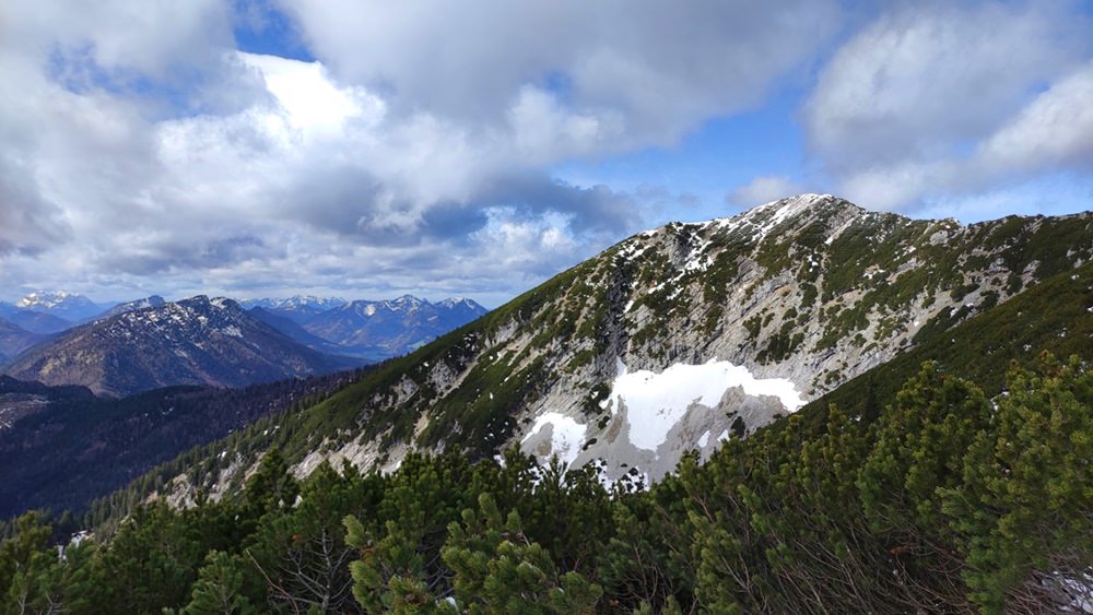 Blick aus den Latschen zum Gamsknogl