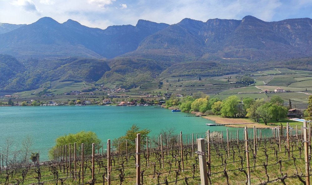 Blick zum Kalterer See in Südtirol