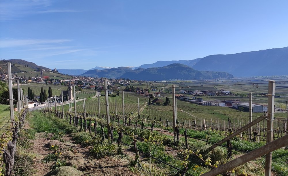 Frühling an der Südtiroler Weinstraße zwischen Tramin und Neumarkt