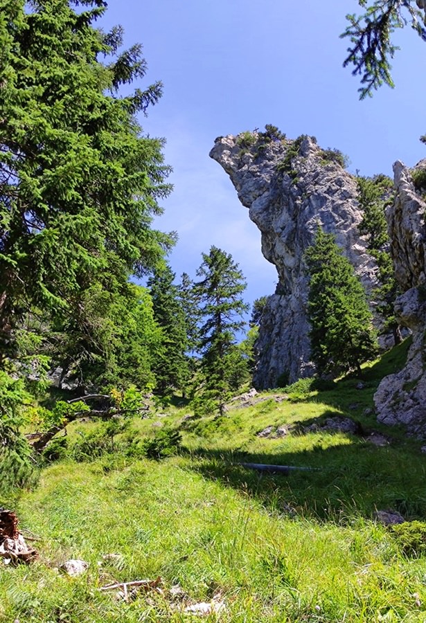 Bogn Nosn bei Ruhpolding