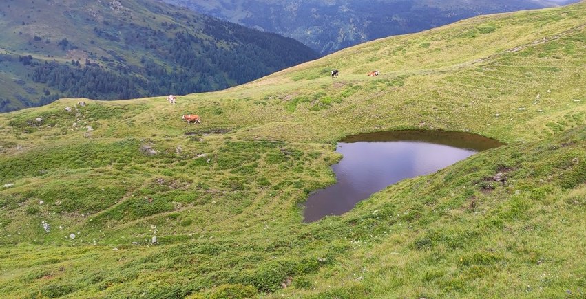 Kleiner Teich am Brenner Grenzkamm