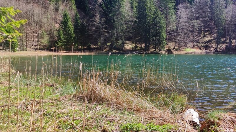 Filblingsee im Salzkammergut/ Österreich