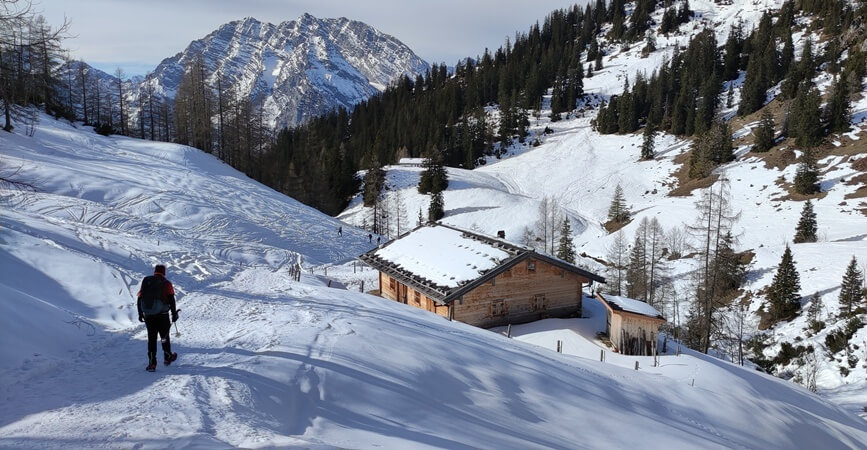 Gemütlich ins Tal über die Forststraße zur Königsbachalm