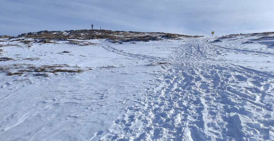 Gipfel in Sicht - am Schneibstein