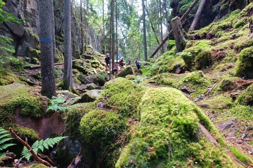Wanderung in der Skurugata Schlucht in Smaland/ Südschweden