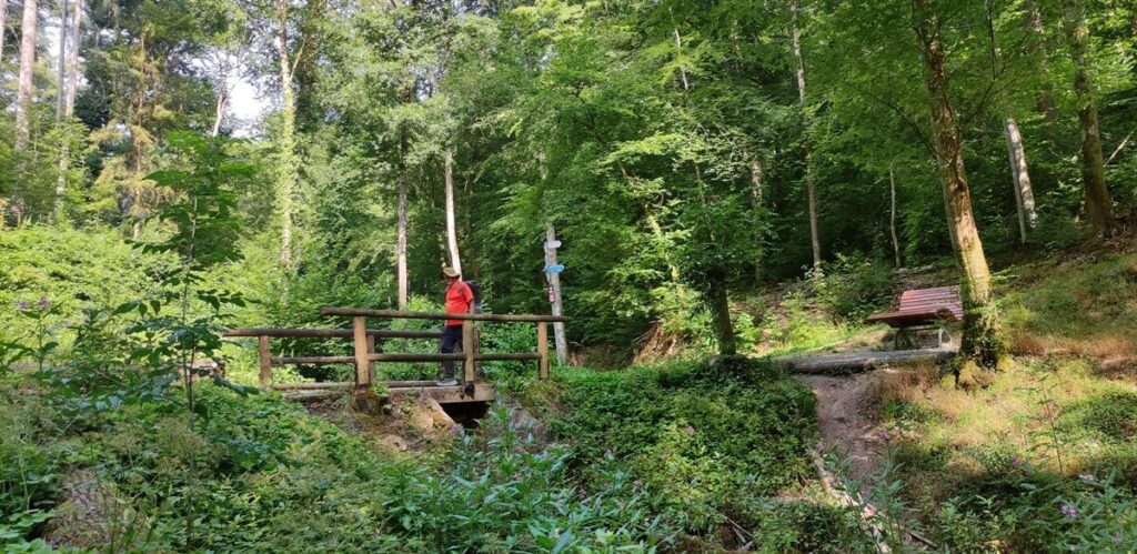 Kaskadental bei Bad Kissingen